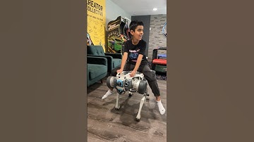 Riding the X30 Robot Dog by Deep Robotics ($65,000 robot) #robotdog