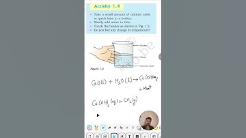 class 10 science activity 1.4 reaction of quicklime with water to form slaked lime