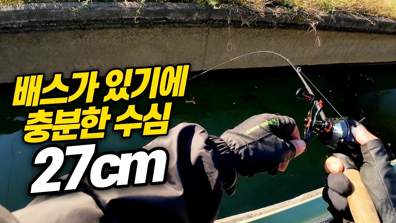 발목이 겨우 잠길 수심의 얕고 좁은 수로에서의 덩어리 배스