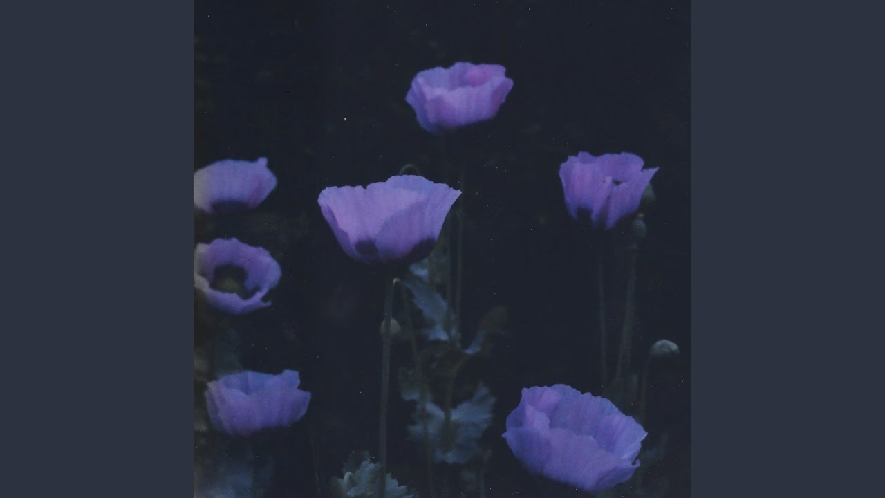 Emerald auf YouTube ansehen Emerald auf YouTube ansehen