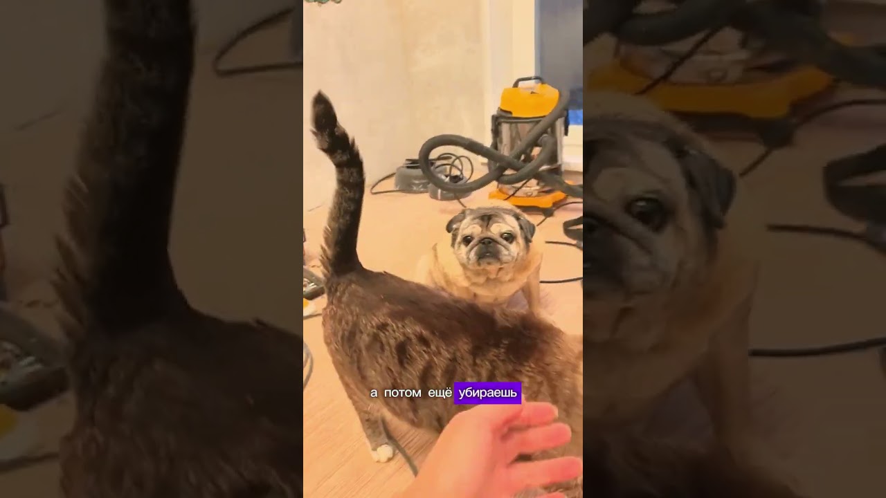 Сложный выбор? #ремонт #ремонтвдоме #ремонтквартир #бюджетныйремонт #электрика. #diy