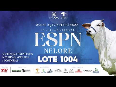 LOTE 1004   IPE 5877