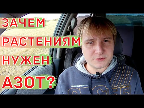 Азотное питание растений. Источники азота для растений. NPK