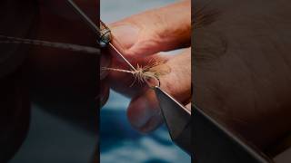 @DavieMcPhail’s CDC Bubble Wing Grannom (Caddis) #flytying #flytyingtutorial