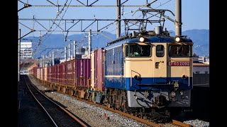 【5087／コンテナ貨物】EF65 2092 [新]＋コキ100系20B