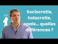 52 sociocratie holacratie opale quelles diffrences 