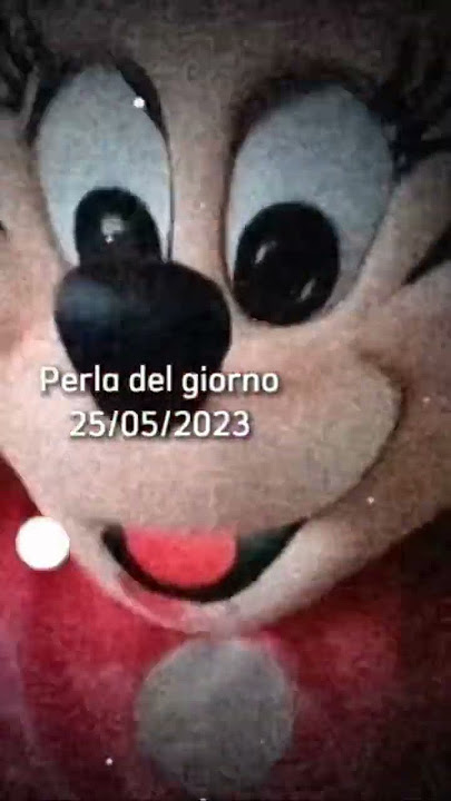 Perla del giorno: da dove viene questa topolina?? #meme #viral #news #whatsappstatus #shorts