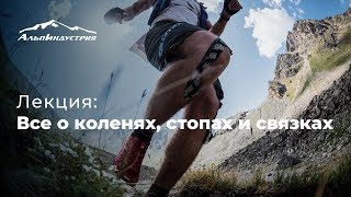 картинка: Лекция | Все о коленях, стопах и связках