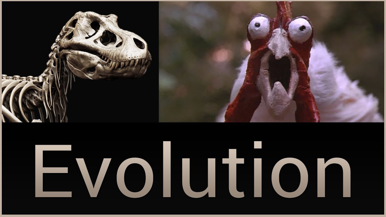 Evolution (the fossil record) - YouTube
