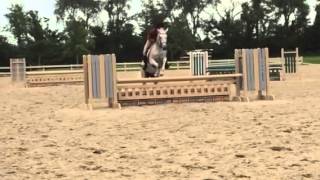 MLEC July 2014 - Wise Investment and Kelsey Jurek - 2'9 Hunter course