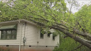 Trees down in Spalding County after Monday storms