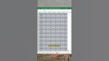 Excel同时冻结首尾行 #办公技巧 #excel #文员 #会计 #职场 #办公技巧 #职场 #smartphone