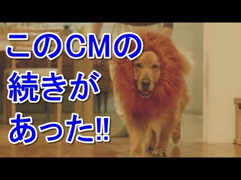 Amazon Horse Commercial Japan Cm 18 01 07 Youtube