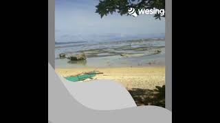 Orbiting - Reese Lansangan Cover