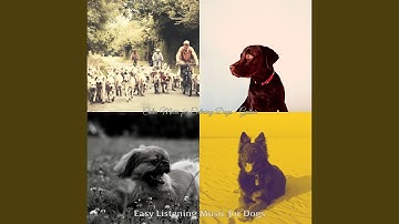 Pulsating Ambience for Calming Dogs