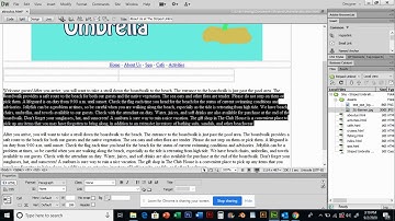 Dreamweaver Lesson 4   Using and Managing Graphics