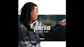 IBHOVA ELINCANE NGIYOMTHOLAPHI