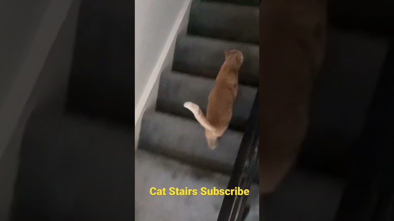 Stairs YouTube