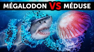 20 Faits Sur Les Créatures Des Profondeurs Bien Plus Effrayantes Que Les Mégalodons