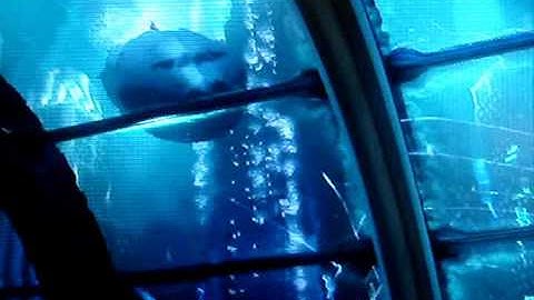 Bioshock 2  level 40 video