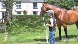 Emma Massingale -- Dealing with bargy horses
