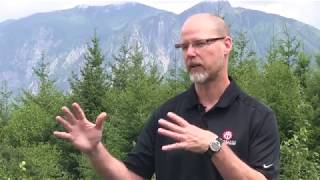 GIT 315 Assignment 6 - Brain Buffet Interview