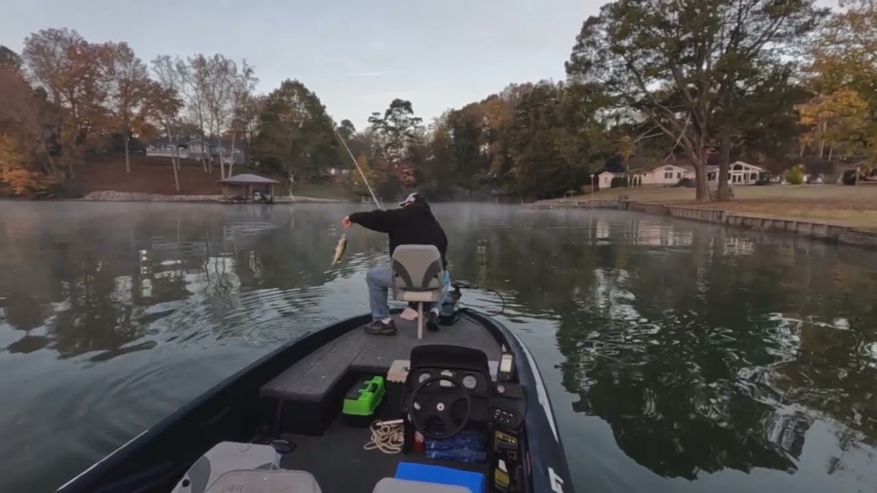 Fall Fishing on Watts Bar Lake TN 10-29-22