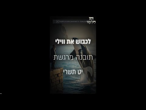 ותן חלקנו | התובנה המרגשת יט תשרי | לשחרר את ווילי האמיתי