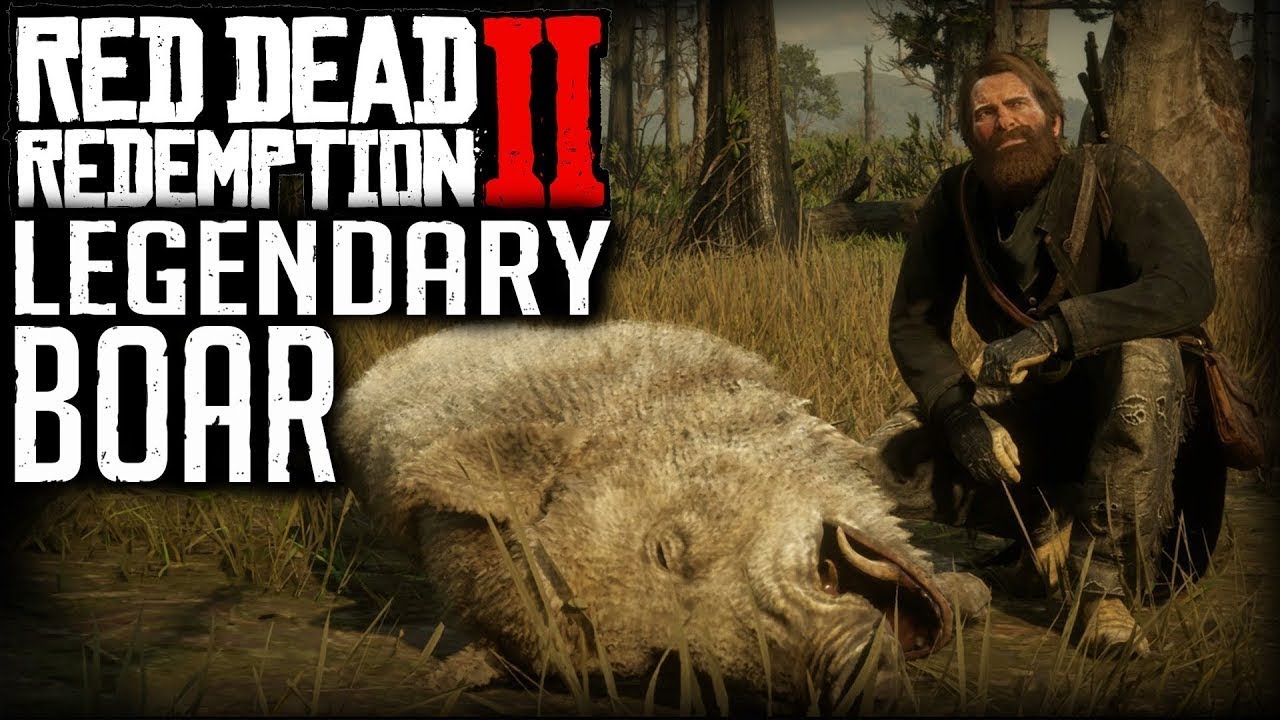 Red Dead Redemption 2 legendary boar tusk talisman location/ hunting