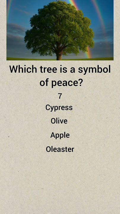 Which tree is a symbol of peace? |#Harmony #Hope #Peace #Unity #NatureAndPeace #GlobalPeace|