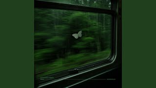 summertime sadness (ambient version) - stillsilent.