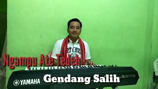 Lagu Karo Keyboard Gendang Salih Ngampu Ate Tedeh || Gendang Salih Terbaru 2020 Yamaha Expansion