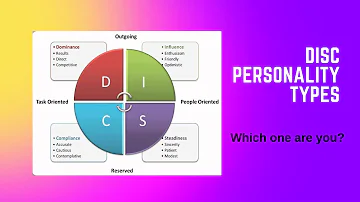 DISC Personality Types Explained