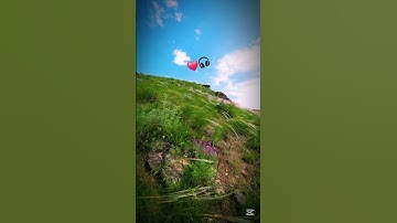 القرآن الكريم 🥺 متابعة من فضلكم ❤️ #القرآن_الكريم #تلاوة_خاشعة #لايك #love #راحة_نفسية