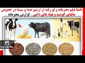 افشا فیلم محرمانه و لو رفته از ارشیو صدا و سیما در خصوص مافیای گوشت و نهاد های دامی گزارش محرمانه 