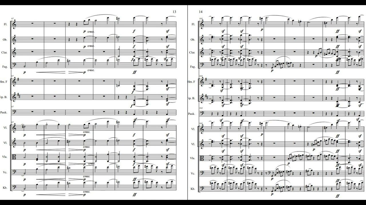 真琴9弦 Beethoven 9th symphony - Alternative instrumental Finale