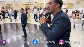 Dod Kalaj - Mi ke floket qiko (Live në Dasëm)