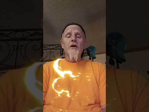 Florida Man in Ohio. Confessions of a horrible father.