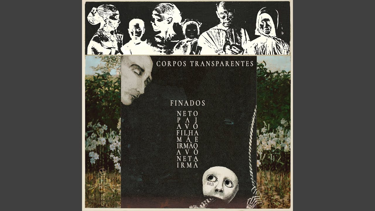 Corpos Transparentes