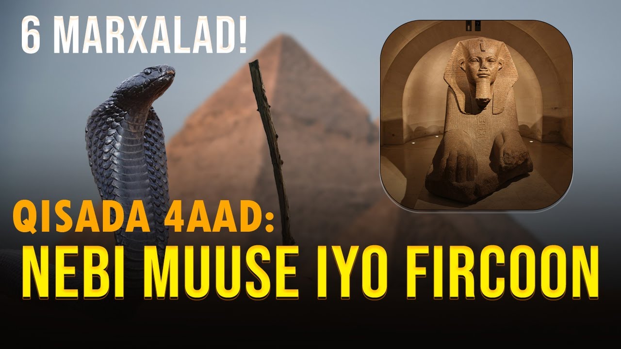 QISADA NABI MUUSE IYO FIRCOON | Qeybta 4aad ee taxanaha qisooyinka qur'aanka bisha ramadaan.