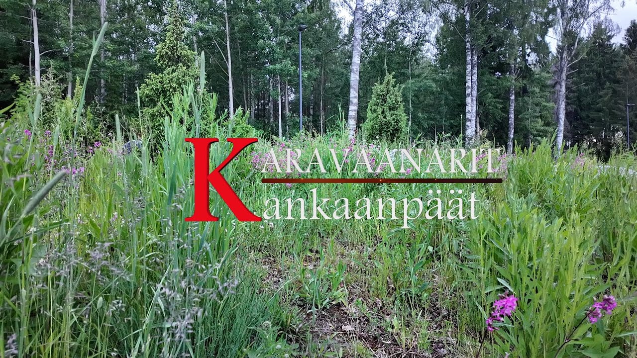 Tästä se alkaa....