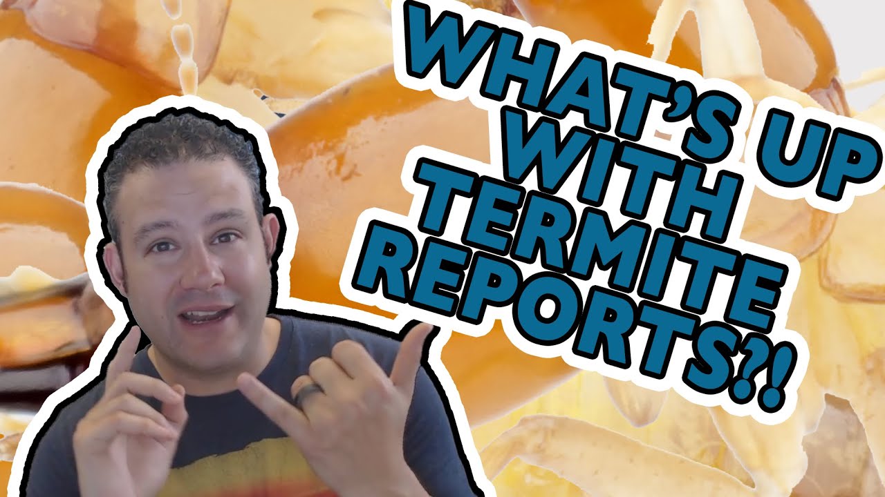 STOP With The Termite Reports!