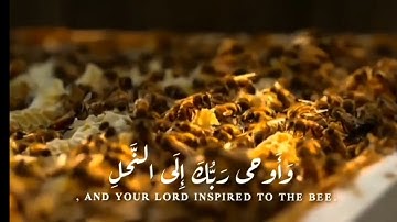 وَأَوحى رَبُّكَ إِلَى النَّحلِ أَنِ اتَّخِذي مِنَ الجِبالِ ||تلاوة جميلة جداً من القارئ #خالد_الجليل