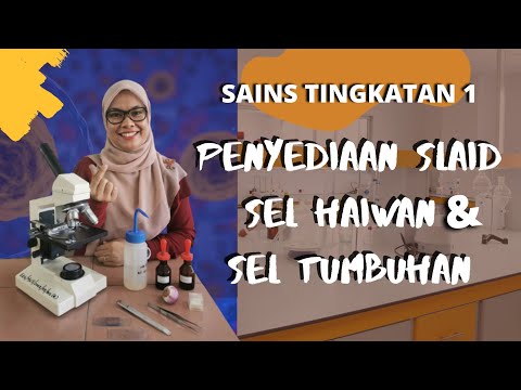 Video: Bagaimanakah anda membuat projek sel haiwan?