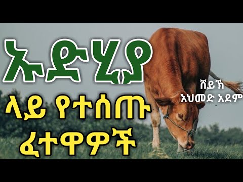 ከኡድሂያ ጋር የተያያዙ ፈትዋዎች ኡስታዝ አህመድ አደም Ustaz Ahmed Adem Halal Ethio አረፋ ኢድ አል አድሀ Ethiopian