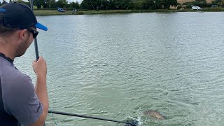 Short Pole Fishing With Pellets | Big Carp