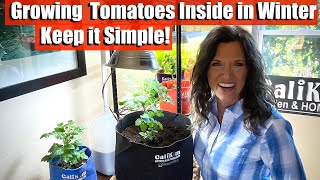 How to Grow Tomatoes Inside in Winter - The Key is Keep it Simple! 🍅☃️
