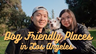 6 Dog Friendly Places in LA For Couples! | Hiking, Shopping & Food