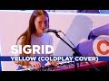 Sigrid  yellow coldplay cover capital live session