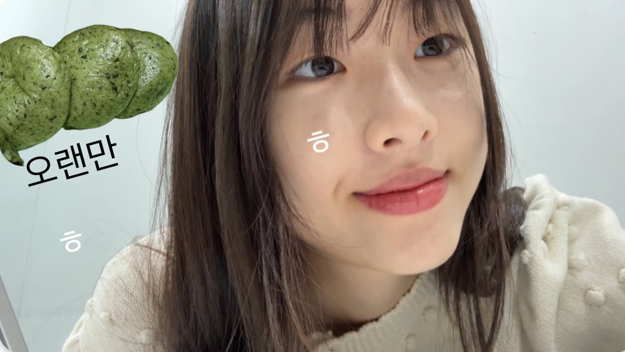 다소 부담스러운 겨울 브이로그 *성균관대 기말